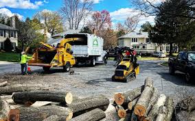 Leaf Removal in Hearne, TX